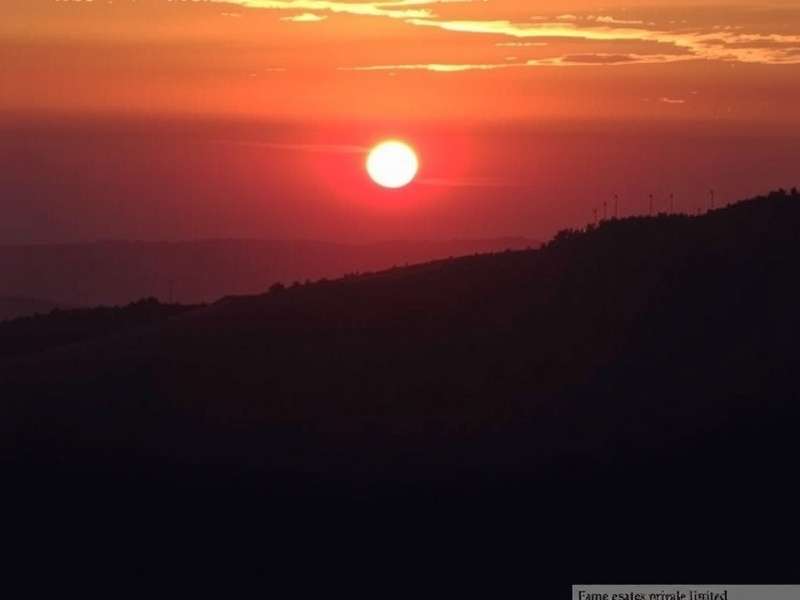 Fame Estates corporate building